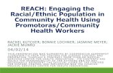 REACH: Engaging the Racial/Ethnic Population in Community ... Racial and Ethnic Approaches to Community