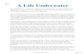 A Life Underwater - Cookridge Primary A Life Underwater David Doubilet is a well known underwater photographer,