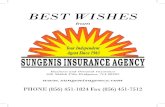 BEST WISHES - Cumberland Players BEST WISHES from Business and Personal Insurance 560 Shiloh Pike Bridgeton,