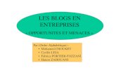 LES BLOGS EN ENTREPRISESv2-1fabrice.3dsun.free.fr/MACSI/Projets/blogsenentreprises/LES-BLOGS-E · PDF file 2. Les blogs et l’entreprise : 3 types de blogs concernant l’entreprise