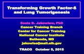 Transforming Growth Factor-£ and Lung Tumorigenesis Transforming Growth Factor-£ (TGF-£) ¢â‚¬¢ Multifunctional