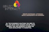 Spark Interact | eCommerce Web Design | eCommerce Web Development