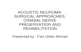 Acoustic Neuroma: Surgical approaches, cranial nerve ... · PDF file • Surgical anatomy • Approaches: SO, others- indications, advantages, problems • Facial nerve and hearing