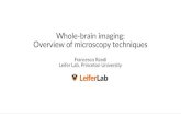 Whole-brain imaging: Overview of microscopy Different microscopy techniques adapted from Weisenbruger,