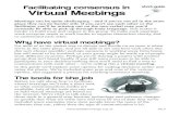 Facilitating consensus in Virtual Meetings Facilitating consensus in Virtual Meetings. Pg.2/8 Virtual