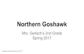 Northern Goshawk - Flemington-Raritan Regional School District · PDF file Northern Goshawk Mrs. Gerlach’s 2nd Grade Spring 2017 Template Created by Diane Cook 2014. Habitat. Deciduous