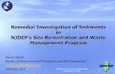Remedial Investigation of Sediments in - New Jersey - SRP Remedial...¢  2017-01-23¢  Remedial Investigation