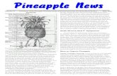 Pineapple Working Group (PWG) ... New sletter of the Pineapple Working Group, International Society