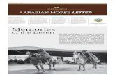 Memories - Bait Al Arab arabian horse heaael arabian horse etter arabian horse news article and photos