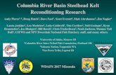 Columbia River Basin Steelhead Kelt Reconditioning Research Columbia River Basin Steelhead Kelt Reconditioning
