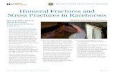 Humeral Fractures and Stress Fractures in Racehorses Scapular Fractures and Stress Fractures in Racehorses