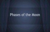Phases of the Moon - · PDF file Phases of the Moon. Overview: In Relation to the Sun: Review: Art Vocabulary-Radial Symmetry-Mandala-Repetition-Unity. Radial Symmetry Parts regularly