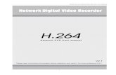 Manual DVR H264