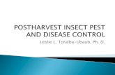 Postharvest Insect Pest and Disease Control