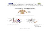 Fisiologia del sistema nervioso, sistema nervioso periferico pdf