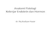Anatomi Fisiologi Kelenjar Endokrin Dan Hormon