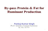 Bypass fat and bypass protein in livestock feeding