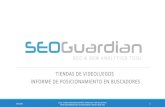 SEOGuardian - Tiendas de Videojuegos - Informe SEO y SEM