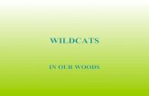 Wildcats Kiki