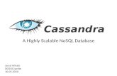 Apache Cassandra Ignite Presentation