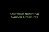 Montreal Botanical Gardens Creatures
