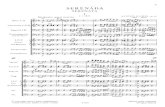 Dvorak Serenade Op.44 Score