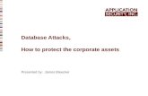 Database Attacks, How to protect the corporate assets