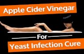 Apple Cider Vinegar for Yeast Infection Cure