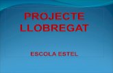 Presentaci³ Llobregat (Estel de Molins de Rei)