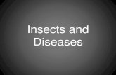 Insects, diseases, and disorders