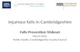 Falls prevention slideset for training use - March 2016