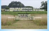 High yield bioenergy crops for biofuels production in Ukraine