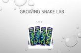 Growing Snake Lab Lab 1