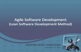 Agile  lean software development principles