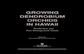 GROWING DENDROBIUM ORCHIDS IN HAWAII  Growing dendrobium orchids in Hawaii GROWING DENDROBIUM ORCHIDS IN HAWAII Production and Pest Management Guide Edited by