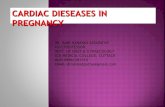 Heart disease pregnancy new dr rabi
