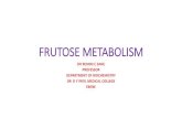 Fructose metabolism
