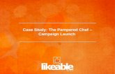 Case Study: The Pampered Chef - Campaign Launch