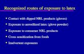 Recognized routes of exposure to latex u Contact with dipped NRL products (gloves) u Exposure to aerosilized latex (glove powder) u Exposure to consumer