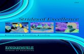 Strides of Excellence 2013