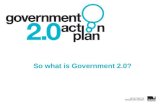 So what is Government 2.0?