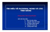 Tim Hieu Rational Rose