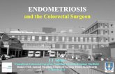 2013 dukes endometriosis