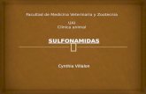 Farmacolog­a MVZ Sulfonamidas
