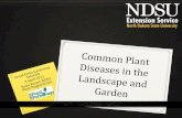 Common Plant Diseases and Treatments