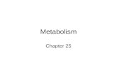 Metabolism Chapter 25. An Introduction to Cellular Metabolism Figure 25â€“1