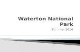Waterton  National Park