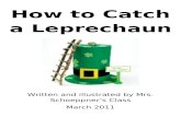 How to catch a leprechaun