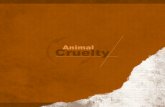Animal Cruelty Editorial