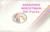 Amazing Wristbands Facts